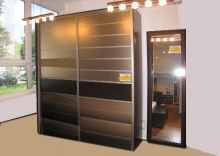 Шкаф-купе 2-х дверный, фасады Зеркало сатин и ДСП купить; Шкаф-купе 2-х дверный, фасады Зеркало сатин и ДСП от производителя